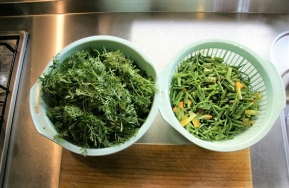 にんじん葉っぱ お茶
