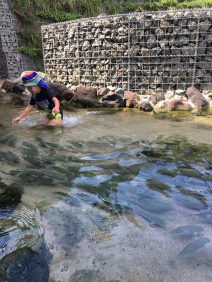 うみがたりタッチプールで魚を追いかける子ども