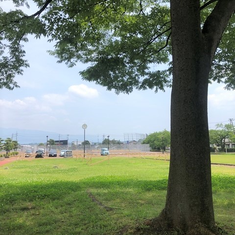 木陰　遠くに山