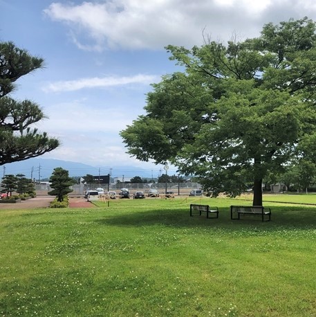 ポリテクカレッジ　木陰にベンチ