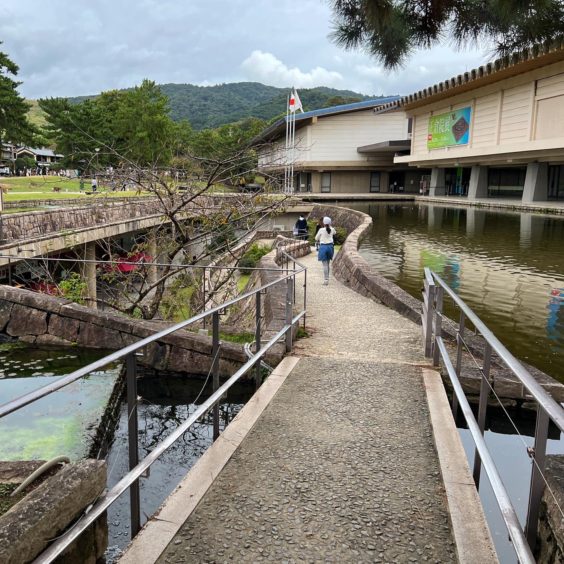 奈良国立博物館