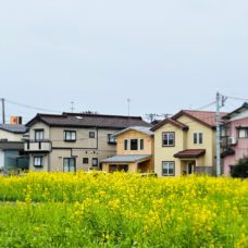 女池のまちなか山荘 2023春