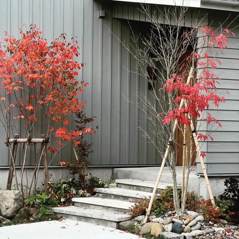 寺尾上のまちなか山荘紅葉