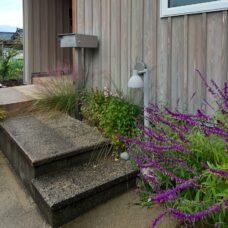 小杉のまちなか山荘 アプローチ