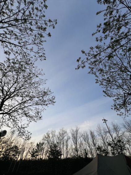 キャンプ　ハンモック　空