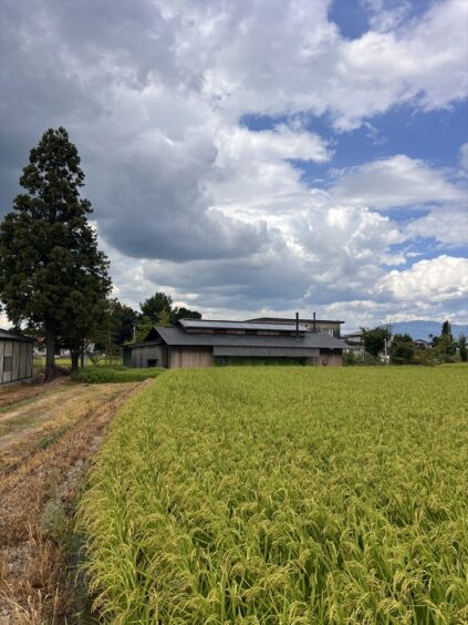 もるくす建築社